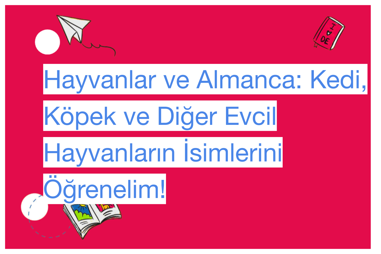 Hayvanlar ve Almanca: Kedi, Köpek ve Diğer Evcil Hayvanların İsimlerini Öğrenelim!