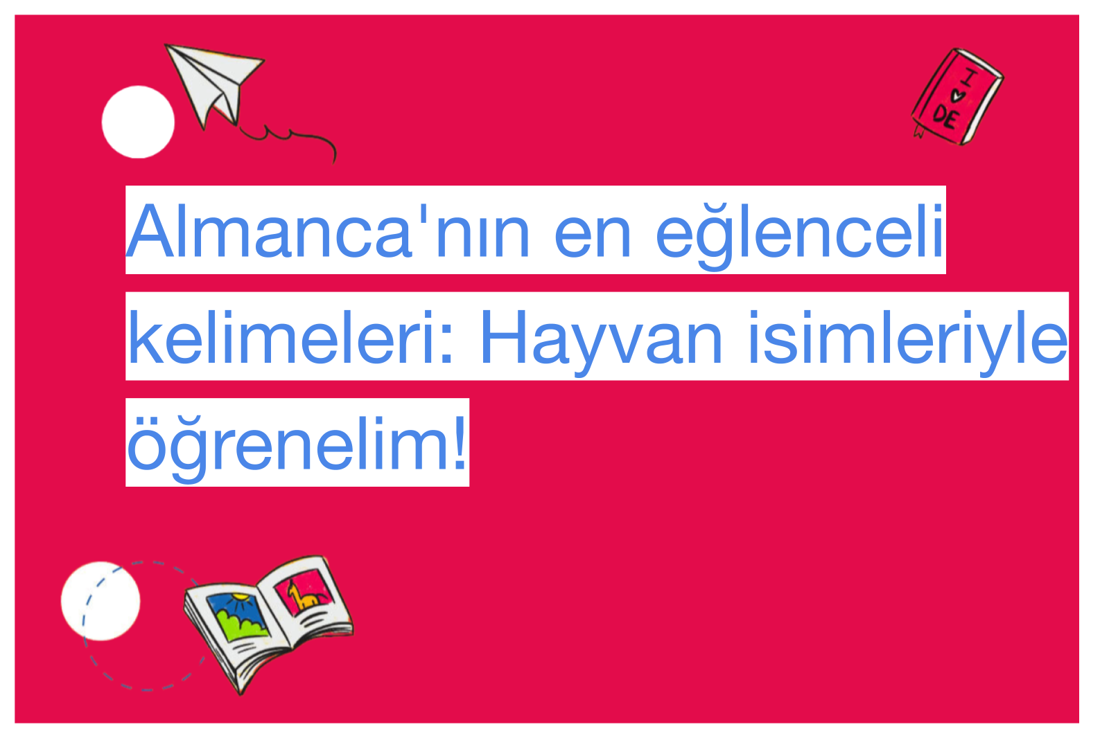 Almanca'nın en eğlenceli kelimeleri: Hayvan isimleriyle öğrenelim!
