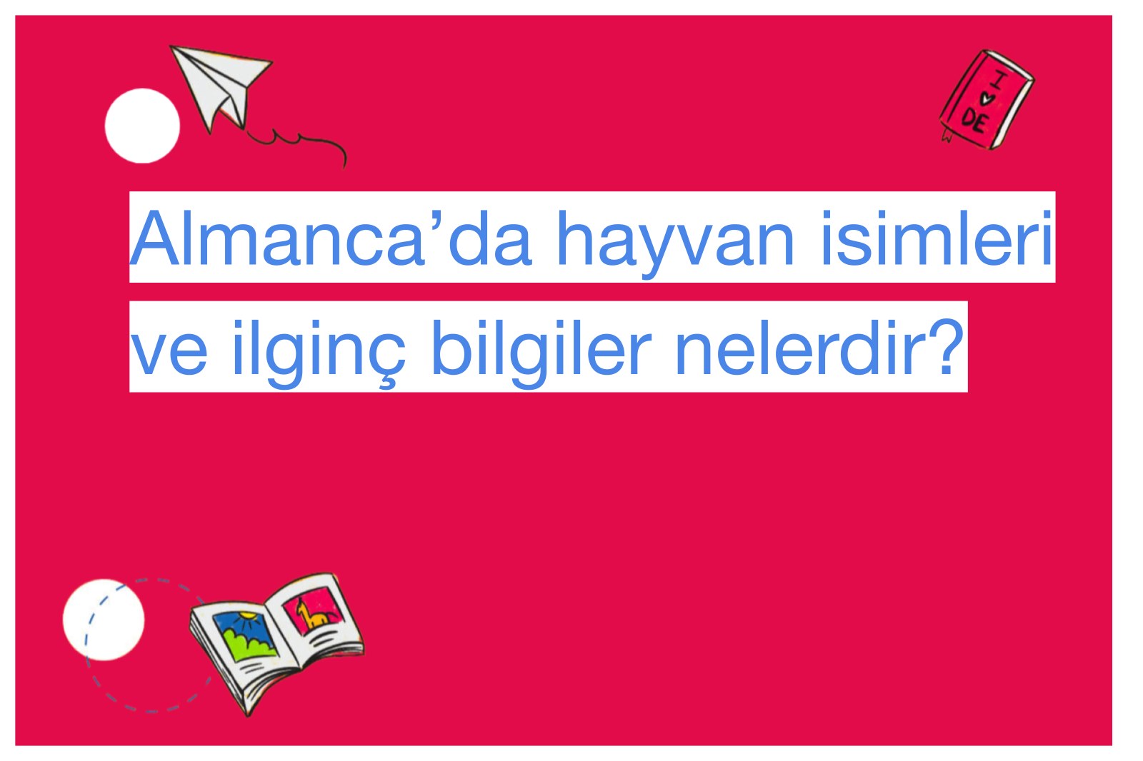 Almanca’da hayvan isimleri ve ilginç bilgiler nelerdir?