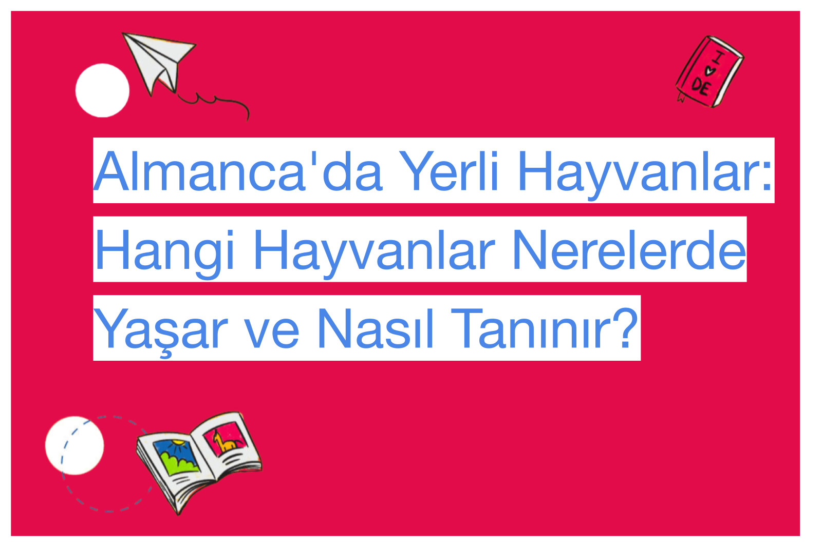Almanca'da Yerli Hayvanlar: Hangi Hayvanlar Nerelerde Yaşar ve Nasıl Tanınır?