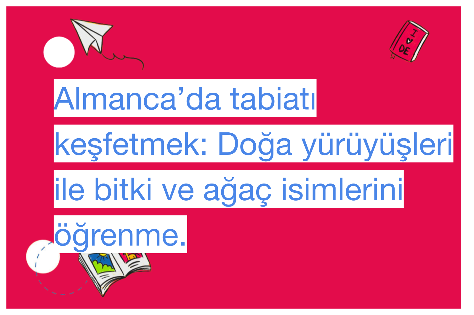 Almanca’da tabiatı keşfetmek: Doğa yürüyüşleri ile bitki ve ağaç isimlerini öğrenme.