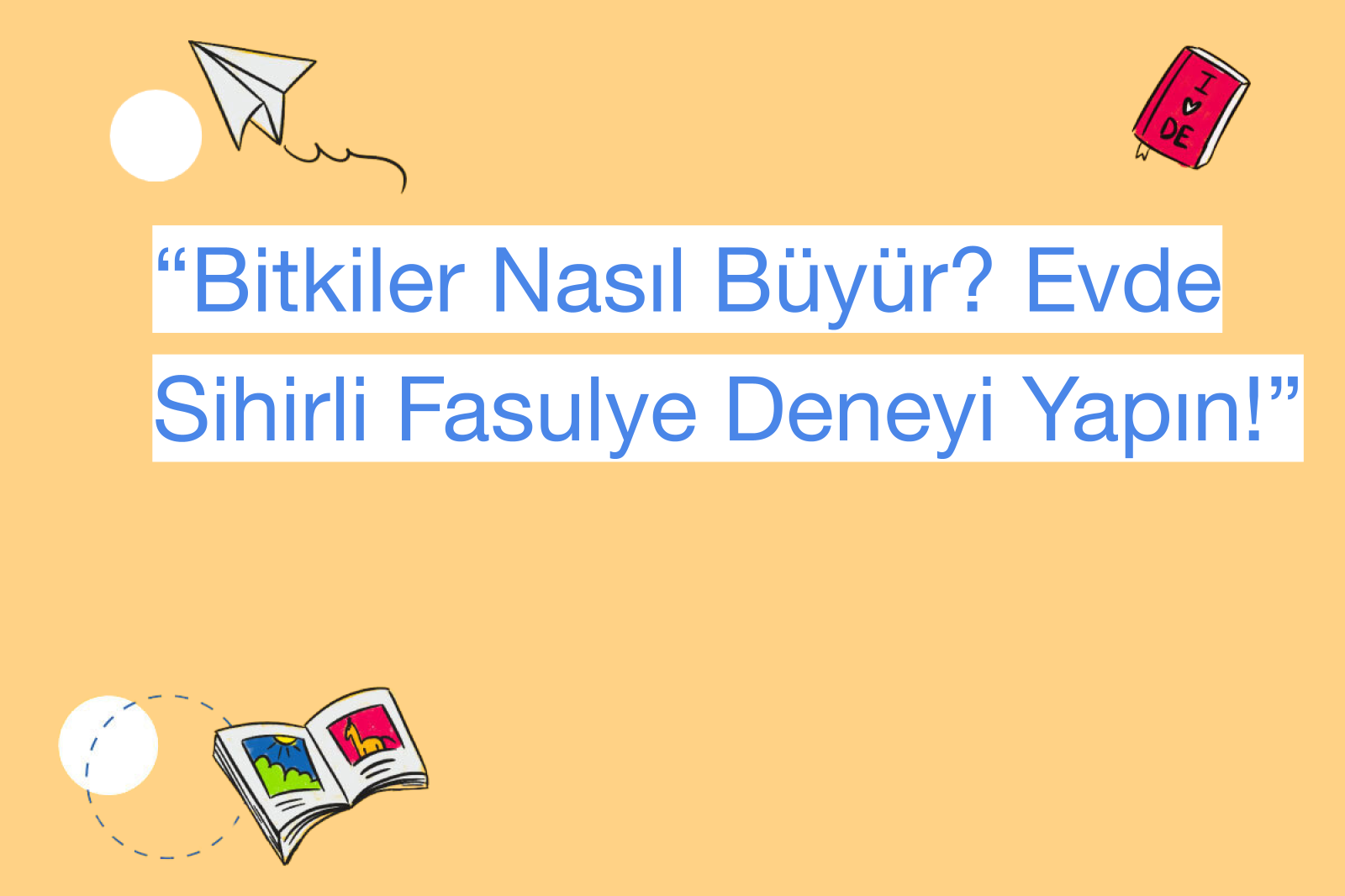 “Bitkiler Nasıl Büyür? Evde Sihirli Fasulye Deneyi Yapın!”