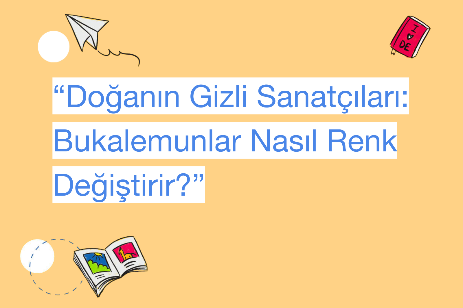 “Doğanın Gizli Sanatçıları: Bukalemunlar Nasıl Renk Değiştirir?”