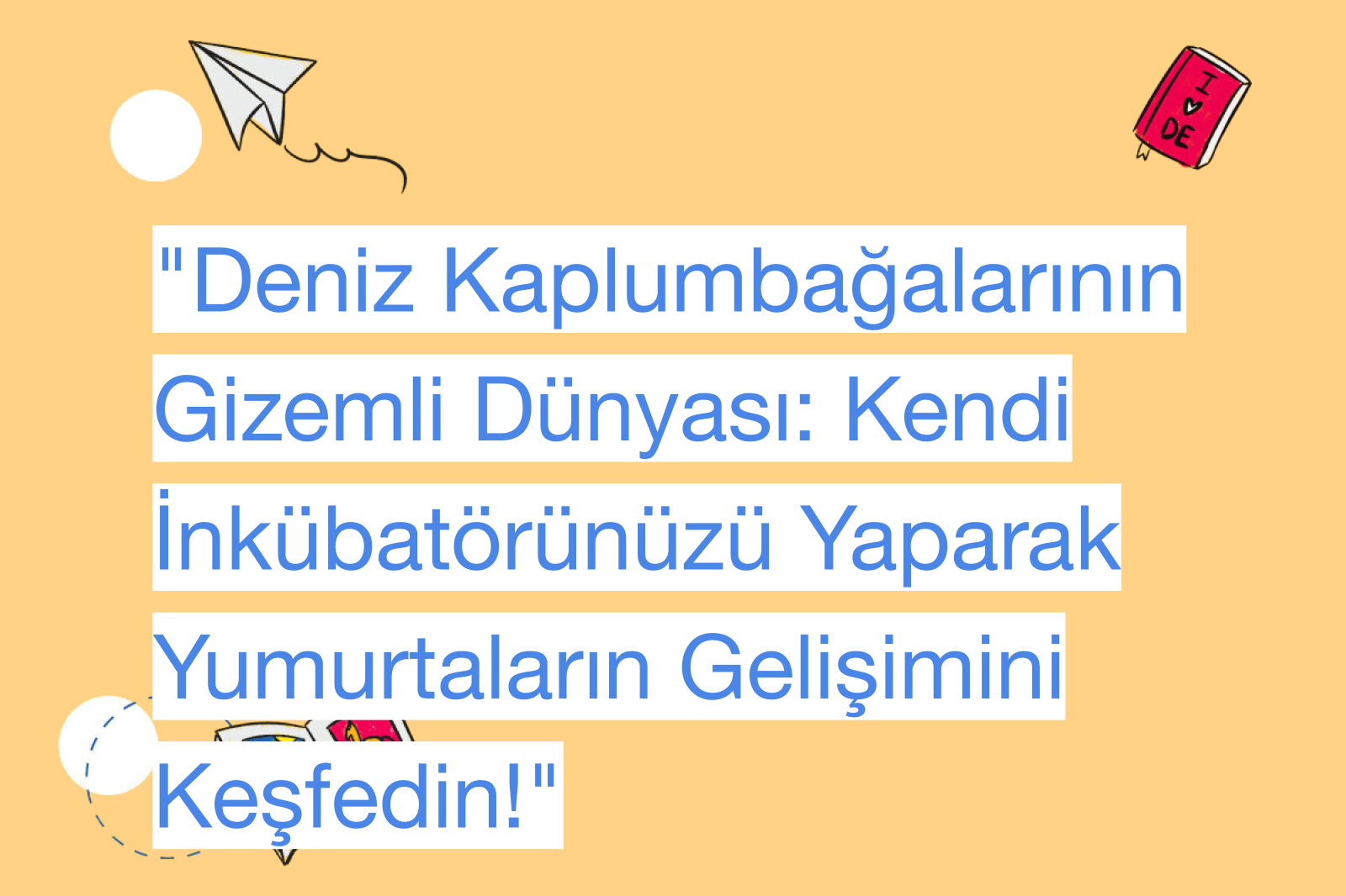 "Deniz Kaplumbağalarının Gizemli Dünyası: Kendi İnkübatörünüzü Yaparak Yumurtaların Gelişimini Keşfedin!"