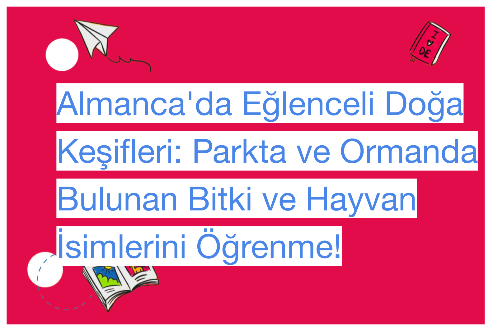 Almanca'da Eğlenceli Doğa Keşifleri: Parkta ve Ormanda Bulunan Bitki ve Hayvan İsimlerini Öğrenme!