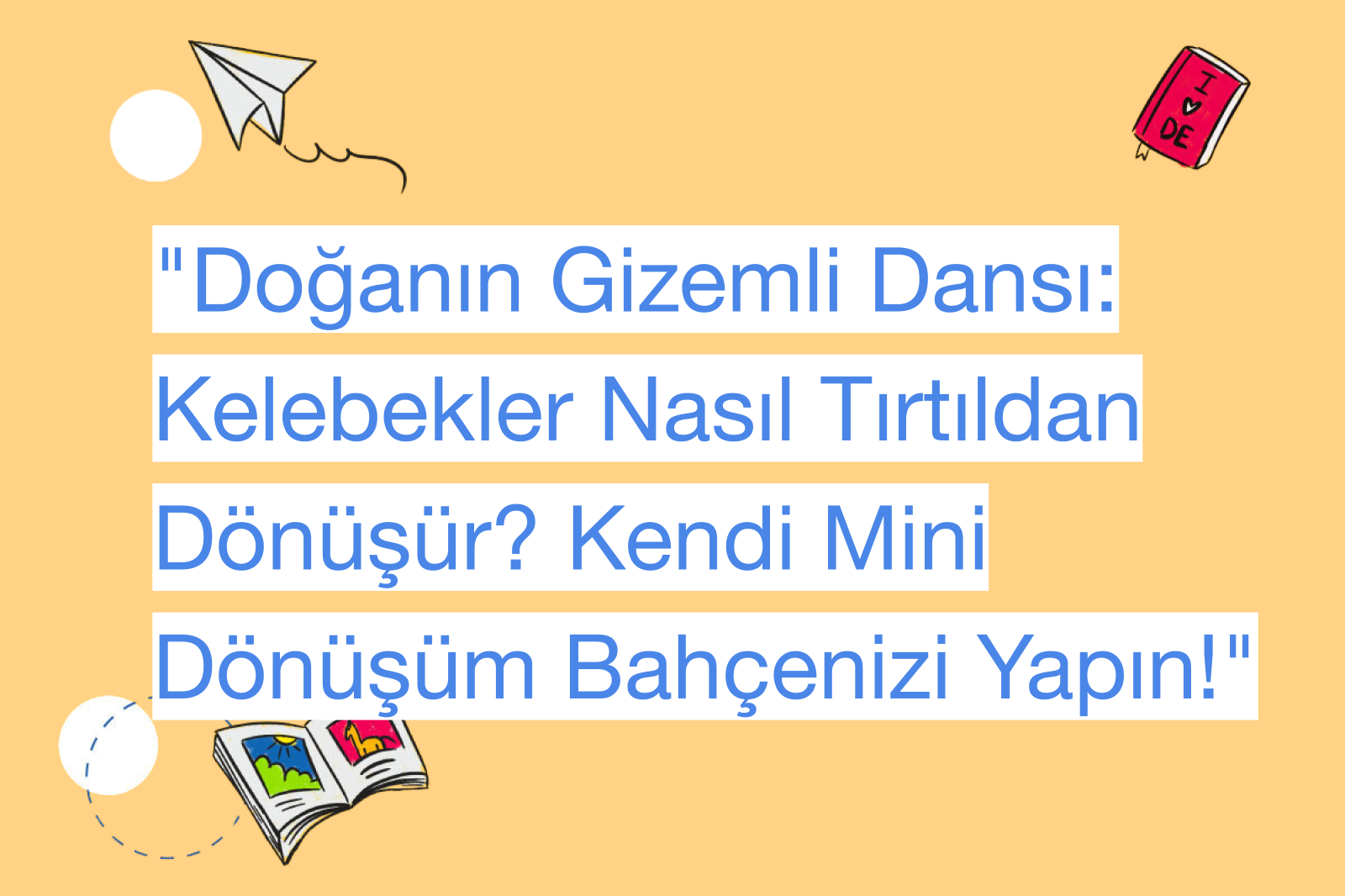 "Doğanın Gizemli Dansı: Kelebekler Nasıl Tırtıldan Dönüşür? Kendi Mini Dönüşüm Bahçenizi Yapın!"