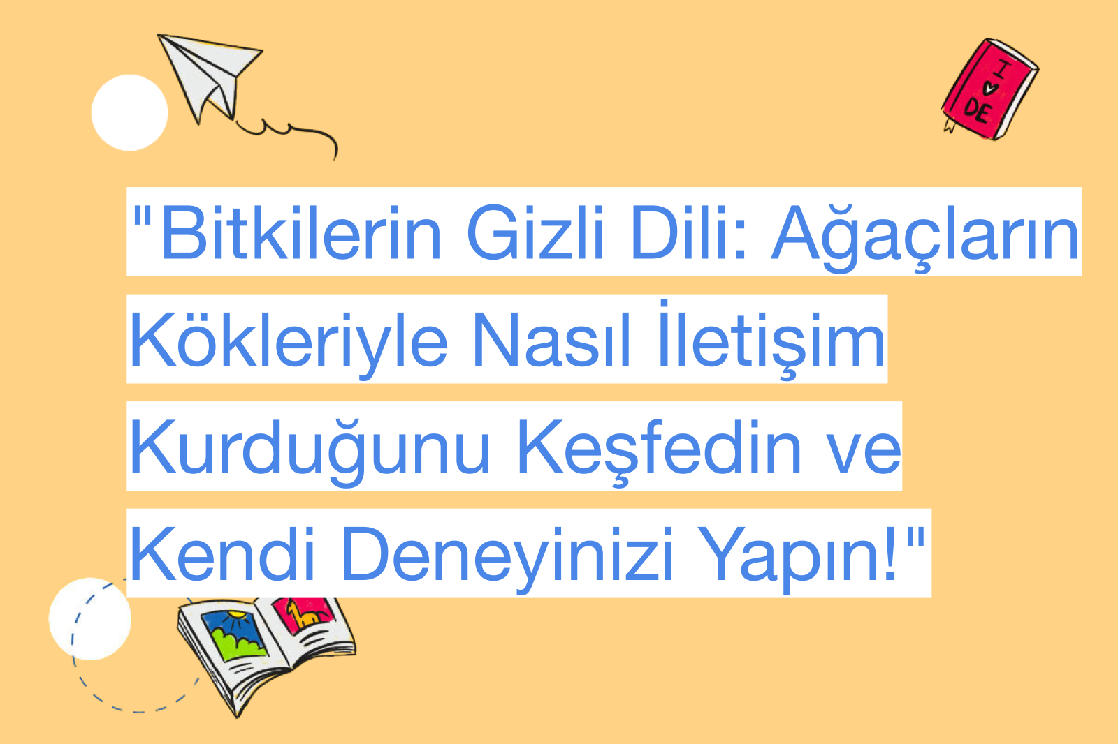 "Bitkilerin Gizli Dili: Ağaçların Kökleriyle Nasıl İletişim Kurduğunu Keşfedin ve Kendi Deneyinizi Yapın!"
