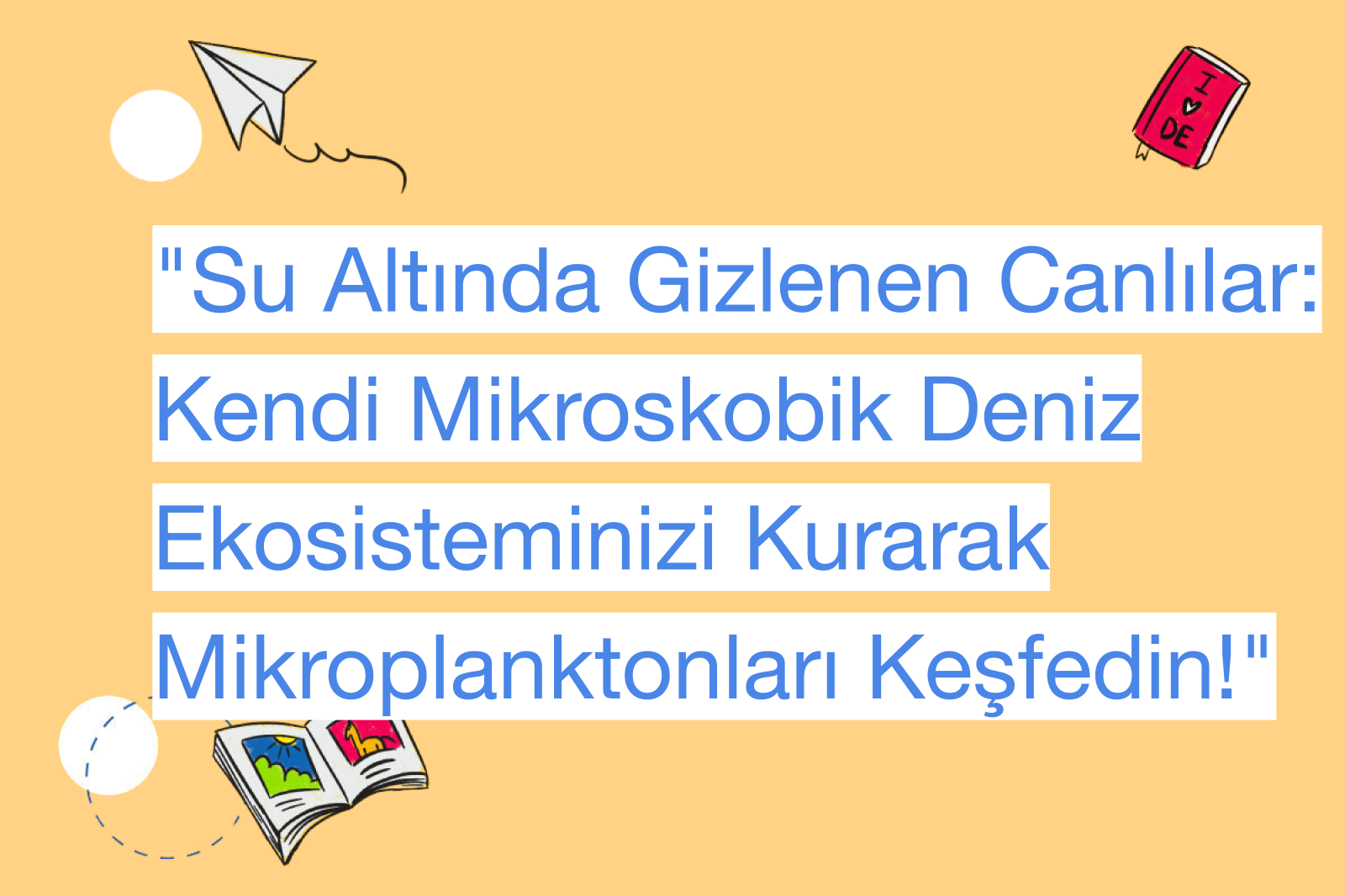 "Su Altında Gizlenen Canlılar: Kendi Mikroskobik Deniz Ekosisteminizi Kurarak Mikroplanktonları Keşfedin!"