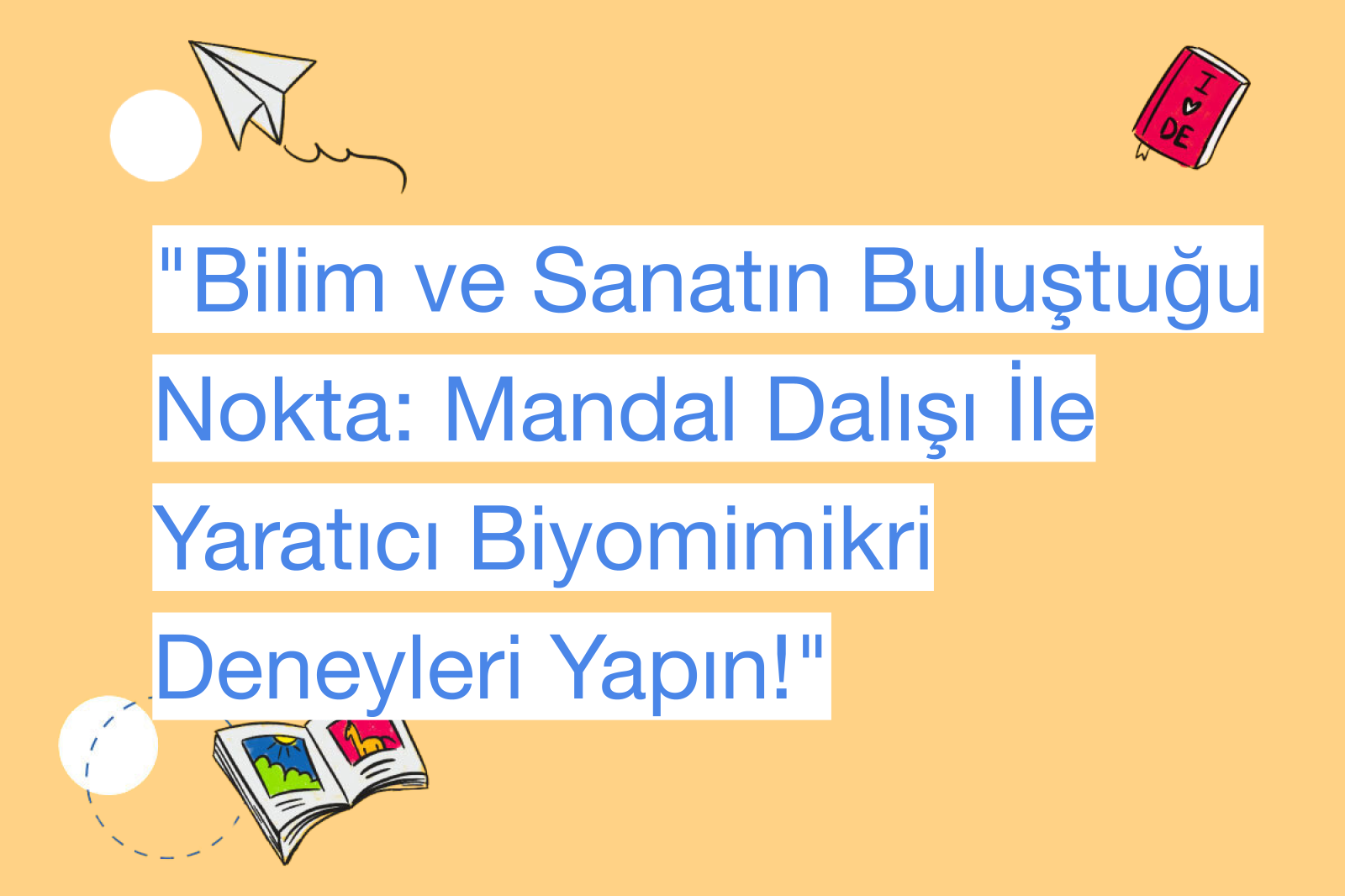"Bilim ve Sanatın Buluştuğu Nokta: Mandal Dalışı İle Yaratıcı Biyomimikri Deneyleri Yapın!"