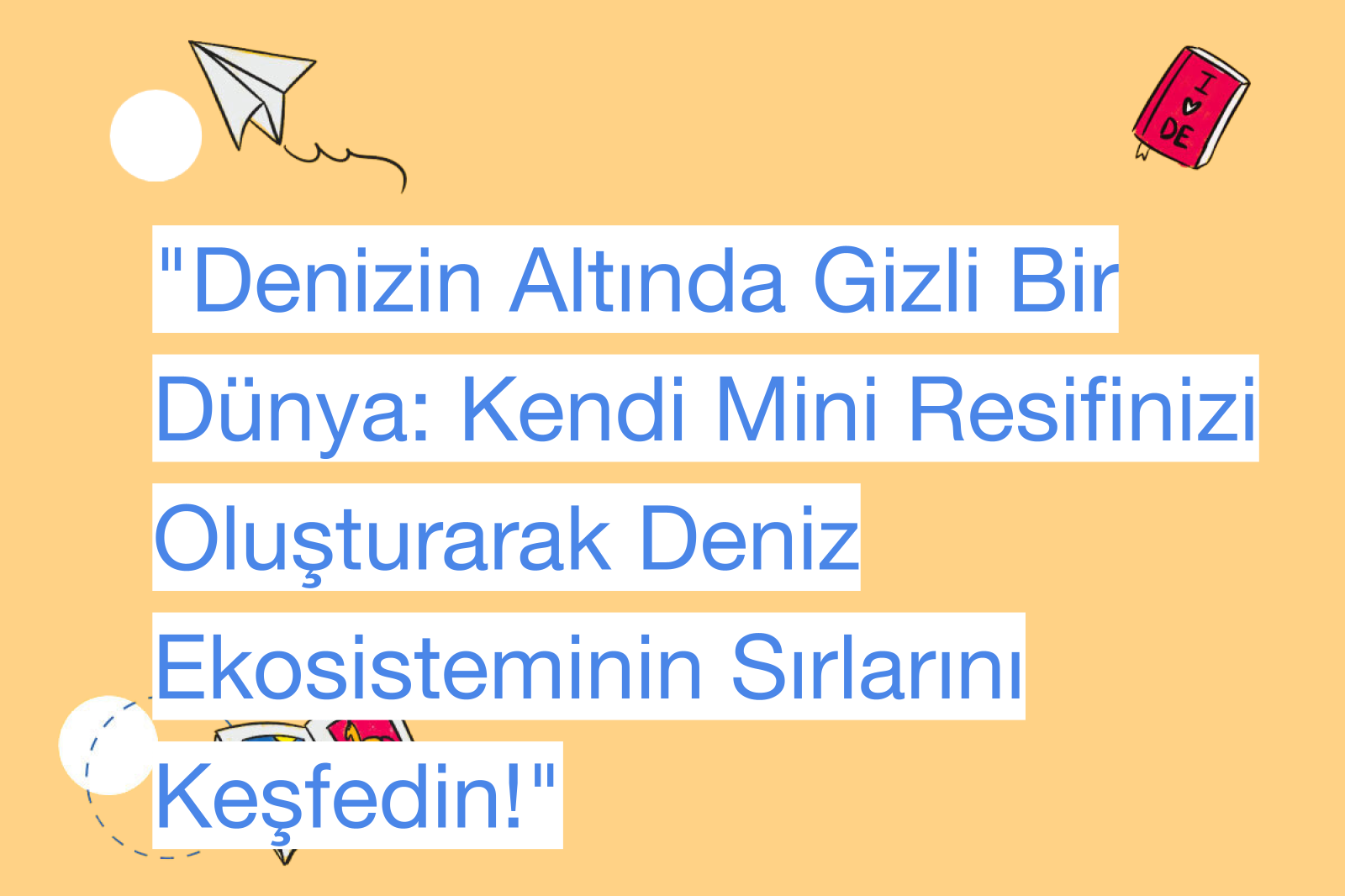 "Denizin Altında Gizli Bir Dünya: Kendi Mini Resifinizi Oluşturarak Deniz Ekosisteminin Sırlarını Keşfedin!"