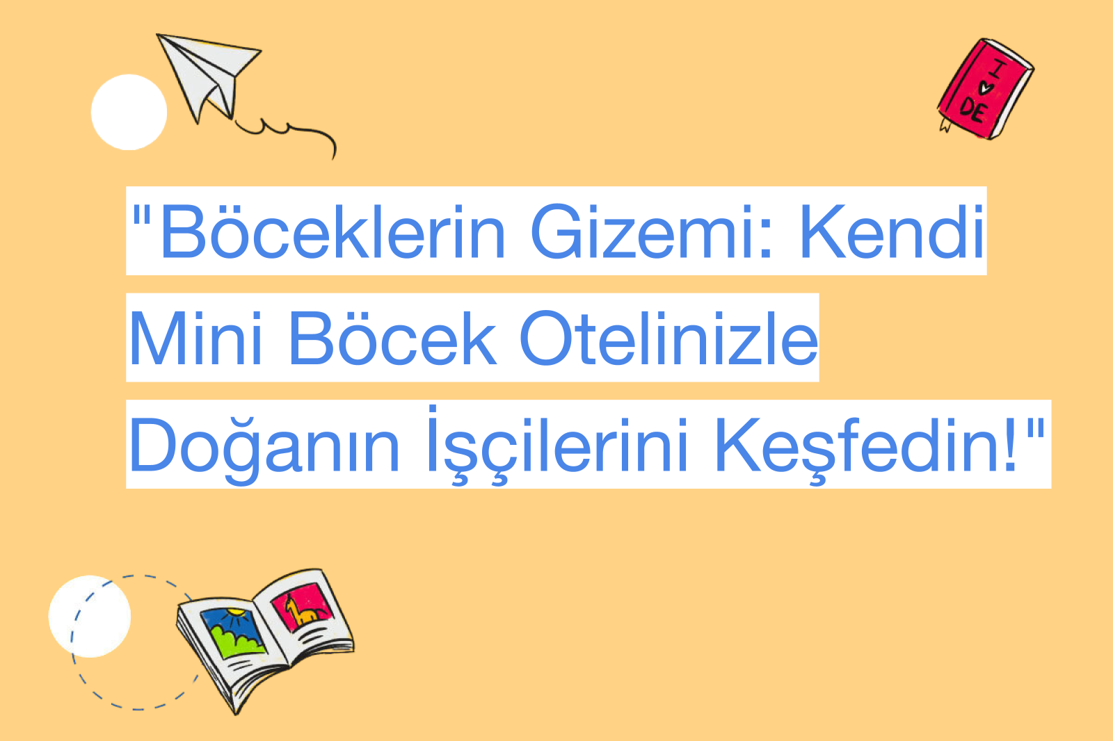 "Böceklerin Gizemi: Kendi Mini Böcek Otelinizle Doğanın İşçilerini Keşfedin!"
