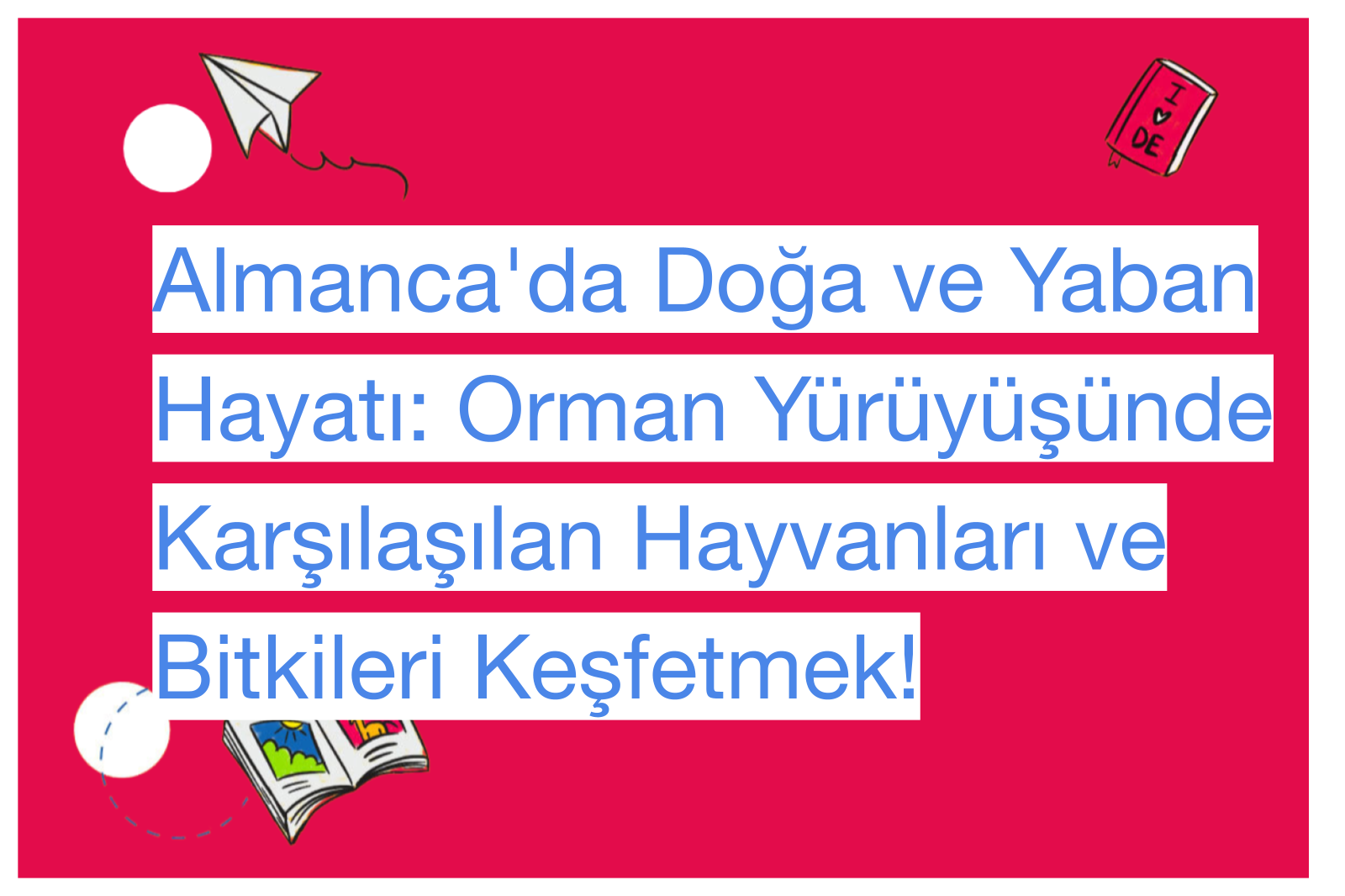 Almanca'da Doğa ve Yaban Hayatı: Orman Yürüyüşünde Karşılaşılan Hayvanları ve Bitkileri Keşfetmek!
