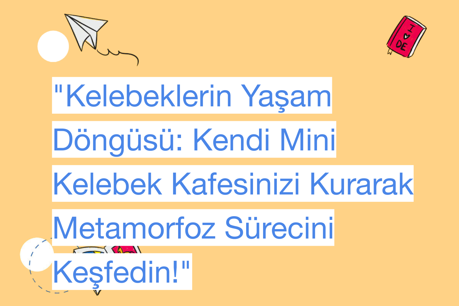 "Kelebeklerin Yaşam Döngüsü: Kendi Mini Kelebek Kafesinizi Kurarak Metamorfoz Sürecini Keşfedin!"