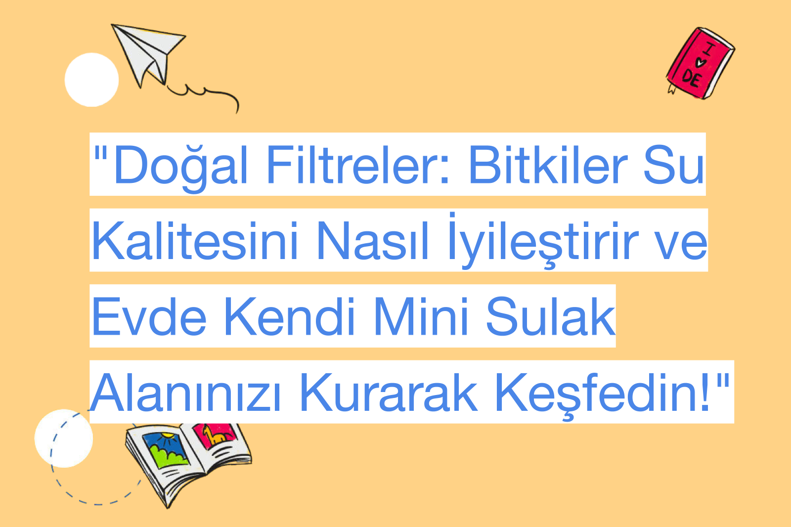 "Doğal Filtreler: Bitkiler Su Kalitesini Nasıl İyileştirir ve Evde Kendi Mini Sulak Alanınızı Kurarak Keşfedin!"