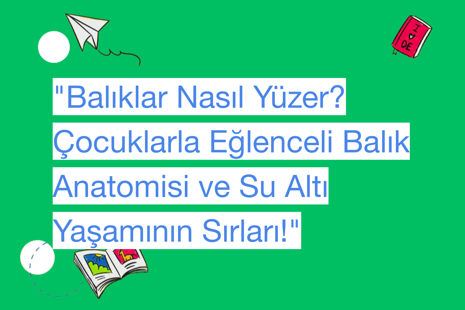 "Balıklar Nasıl Yüzer? Çocuklarla Eğlenceli Balık Anatomisi ve Su Altı Yaşamının Sırları!"