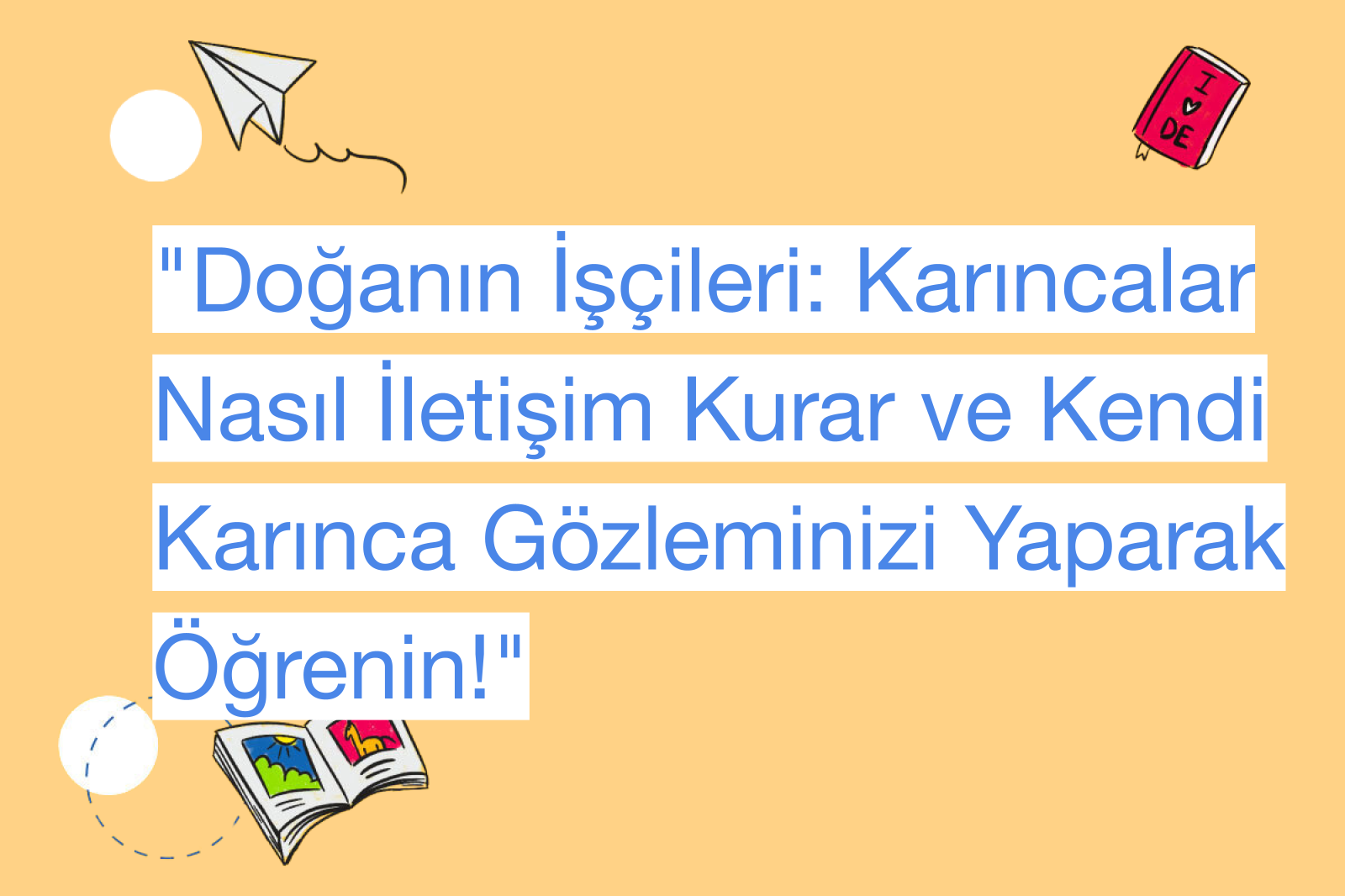 "Doğanın İşçileri: Karıncalar Nasıl İletişim Kurar ve Kendi Karınca Gözleminizi Yaparak Öğrenin!"