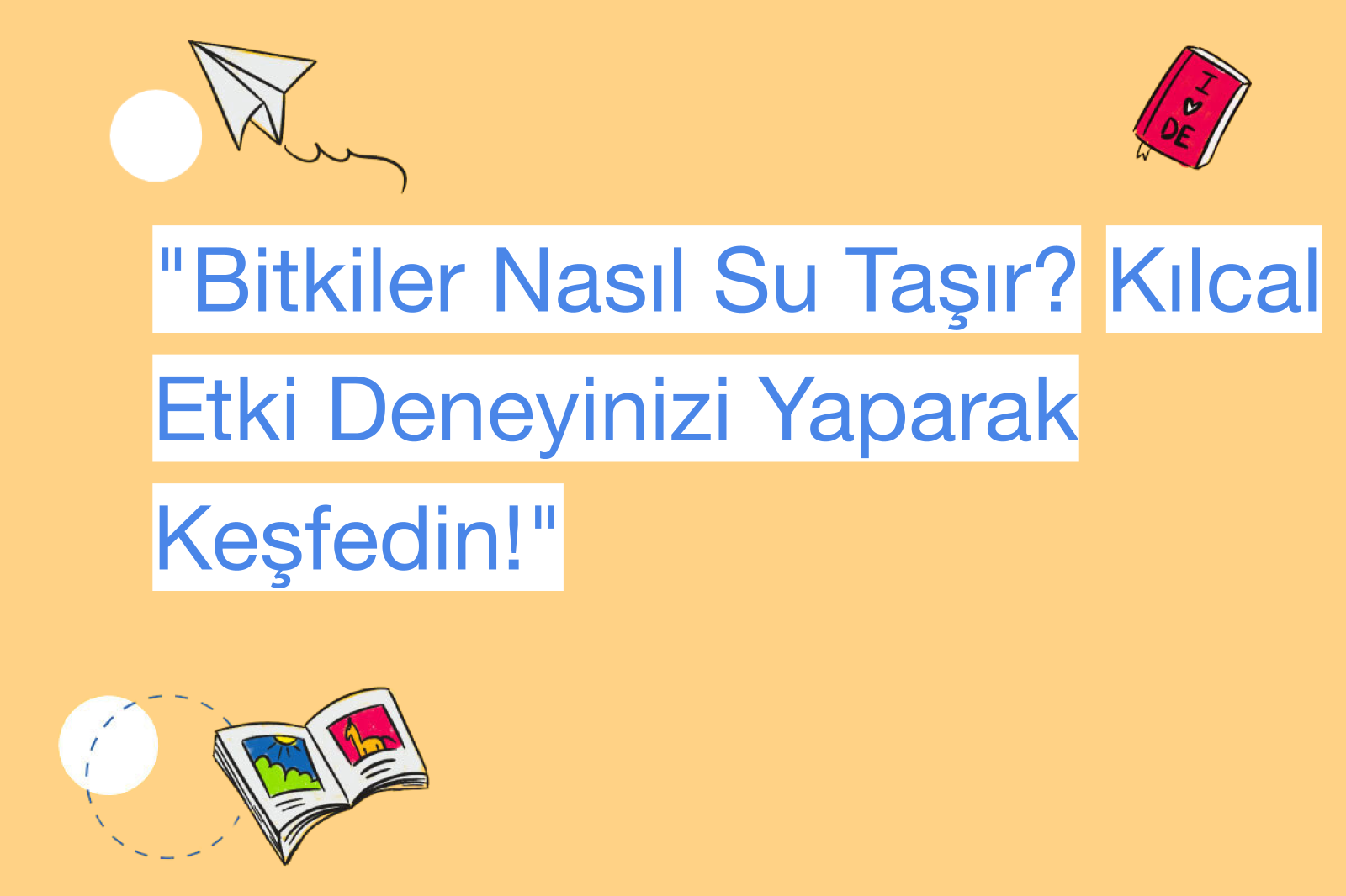 "Bitkiler Nasıl Su Taşır? Kılcal Etki Deneyinizi Yaparak Keşfedin!"