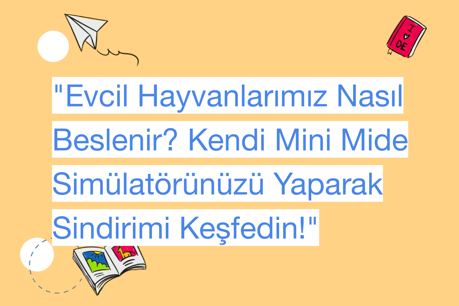 "Evcil Hayvanlarımız Nasıl Beslenir? Kendi Mini Mide Simülatörünüzü Yaparak Sindirimi Keşfedin!"