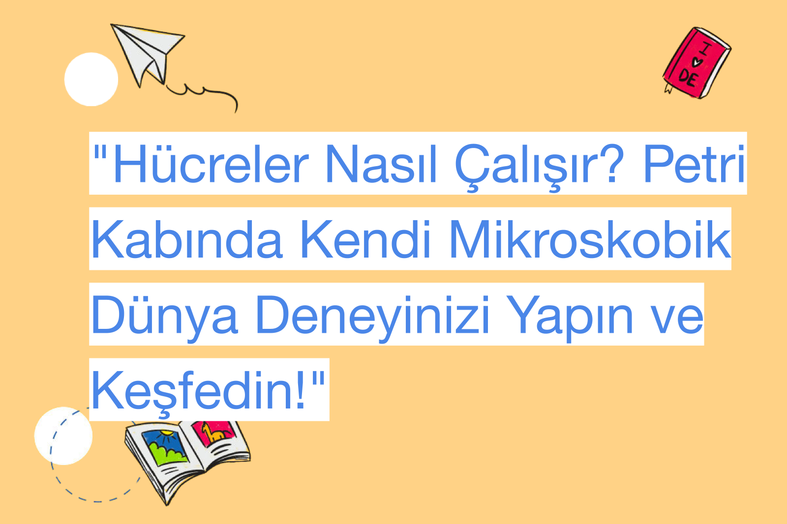 "Hücreler Nasıl Çalışır? Petri Kabında Kendi Mikroskobik Dünya Deneyinizi Yapın ve Keşfedin!"