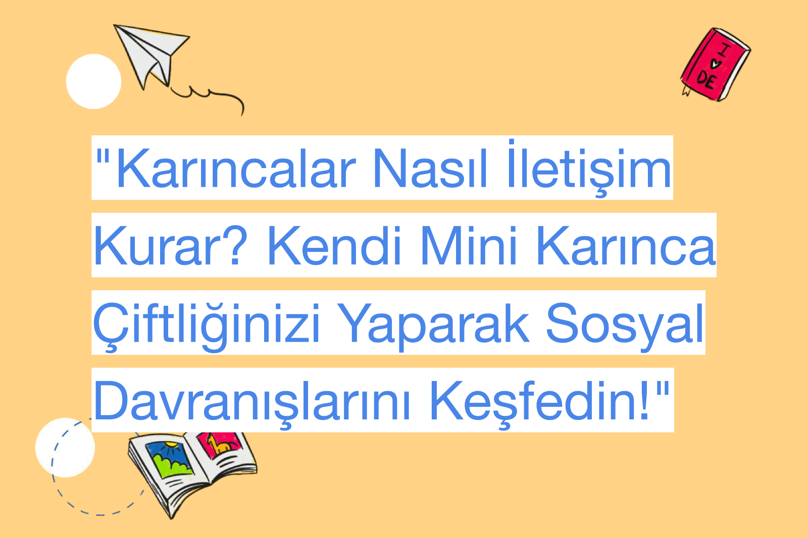 "Karıncalar Nasıl İletişim Kurar? Kendi Mini Karınca Çiftliğinizi Yaparak Sosyal Davranışlarını Keşfedin!"