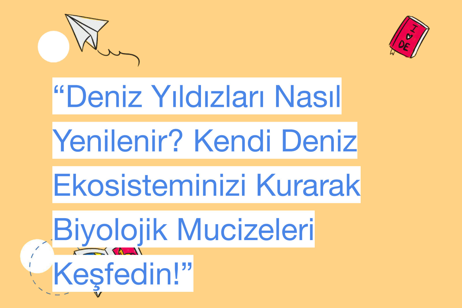 “Deniz Yıldızları Nasıl Yenilenir? Kendi Deniz Ekosisteminizi Kurarak Biyolojik Mucizeleri Keşfedin!”