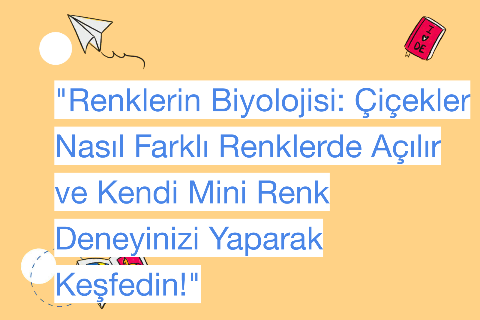 "Renklerin Biyolojisi: Çiçekler Nasıl Farklı Renklerde Açılır ve Kendi Mini Renk Deneyinizi Yaparak Keşfedin!"