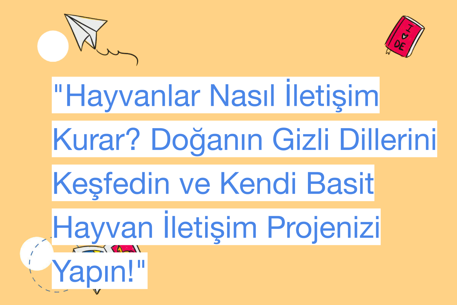"Hayvanlar Nasıl İletişim Kurar? Doğanın Gizli Dillerini Keşfedin ve Kendi Basit Hayvan İletişim Projenizi Yapın!"