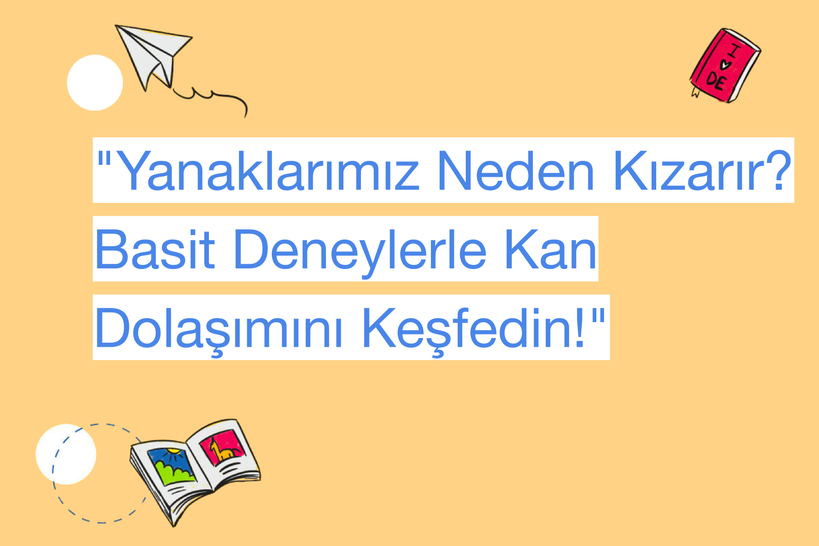 "Yanaklarımız Neden Kızarır? Basit Deneylerle Kan Dolaşımını Keşfedin!"