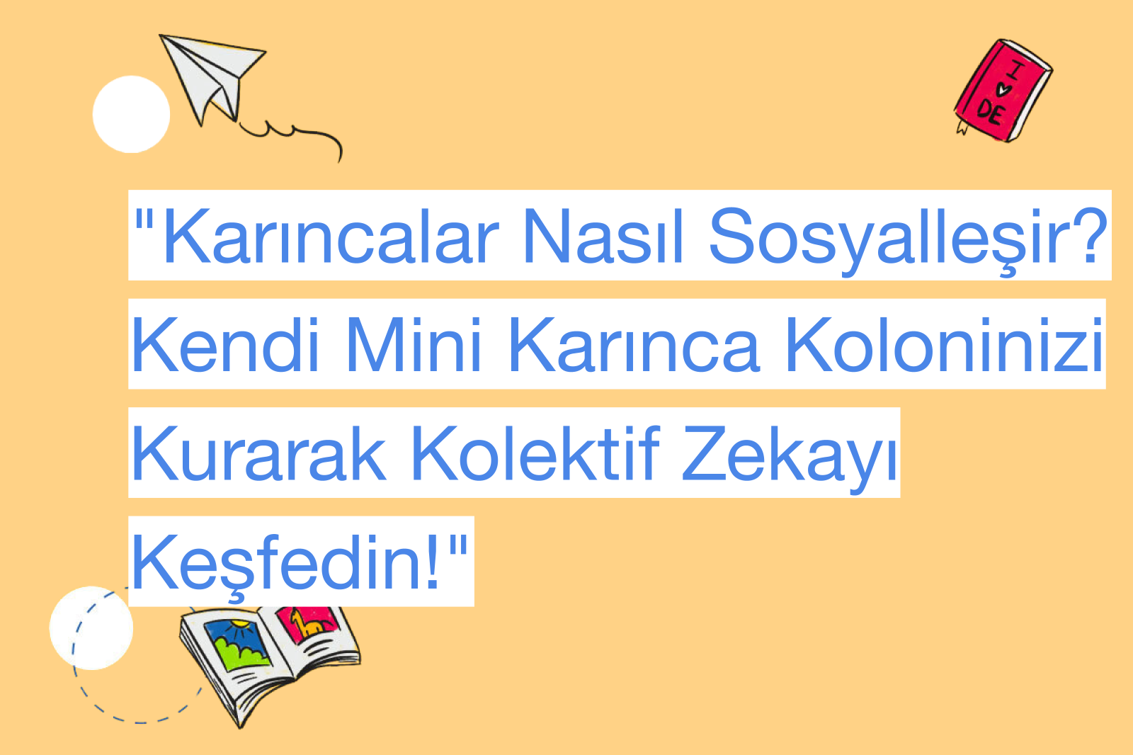 "Karıncalar Nasıl Sosyalleşir? Kendi Mini Karınca Koloninizi Kurarak Kolektif Zekayı Keşfedin!"