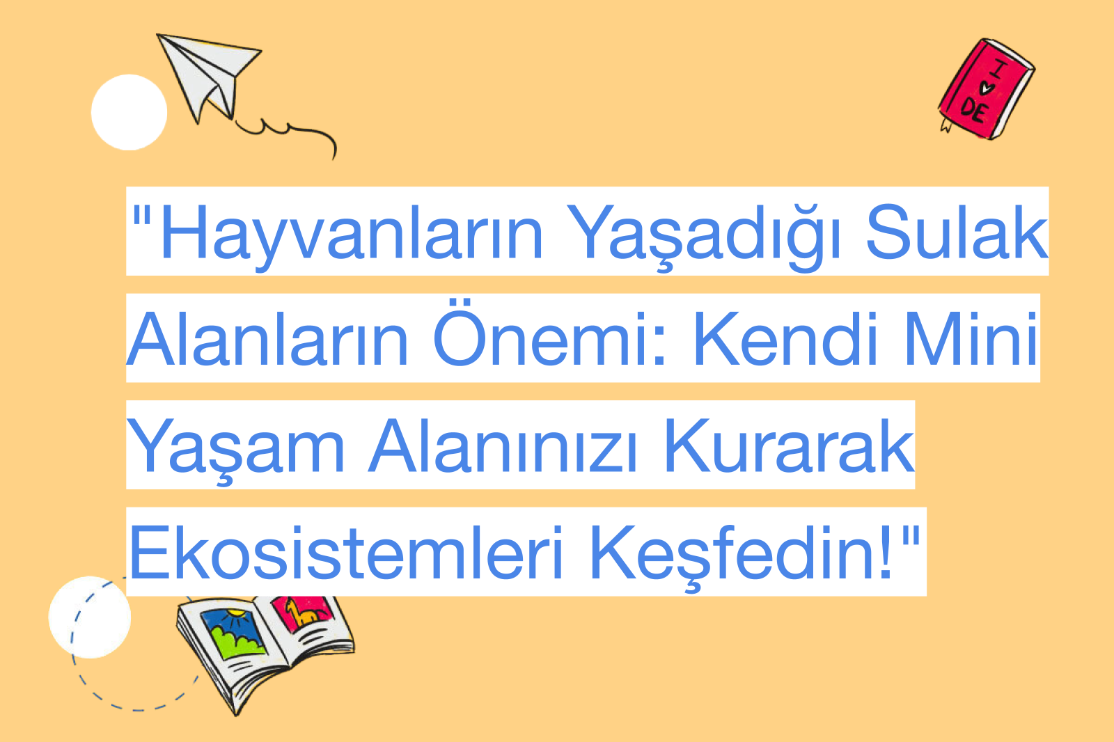 "Hayvanların Yaşadığı Sulak Alanların Önemi: Kendi Mini Yaşam Alanınızı Kurarak Ekosistemleri Keşfedin!"