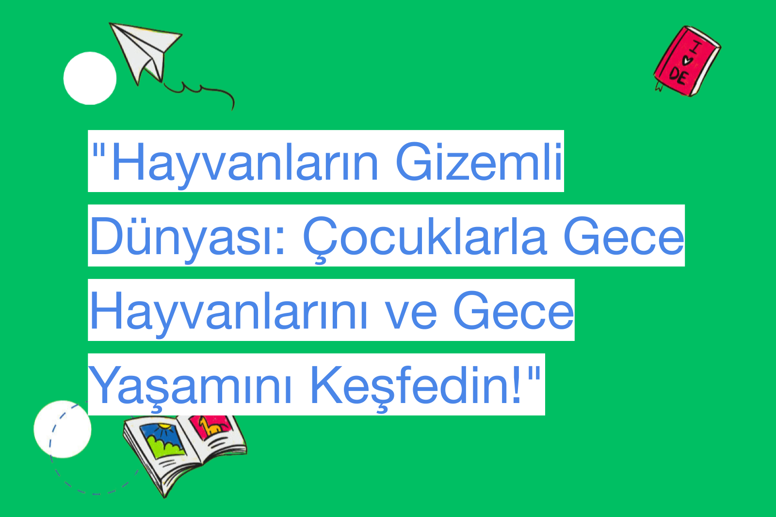 "Hayvanların Gizemli Dünyası: Çocuklarla Gece Hayvanlarını ve Gece Yaşamını Keşfedin!"
