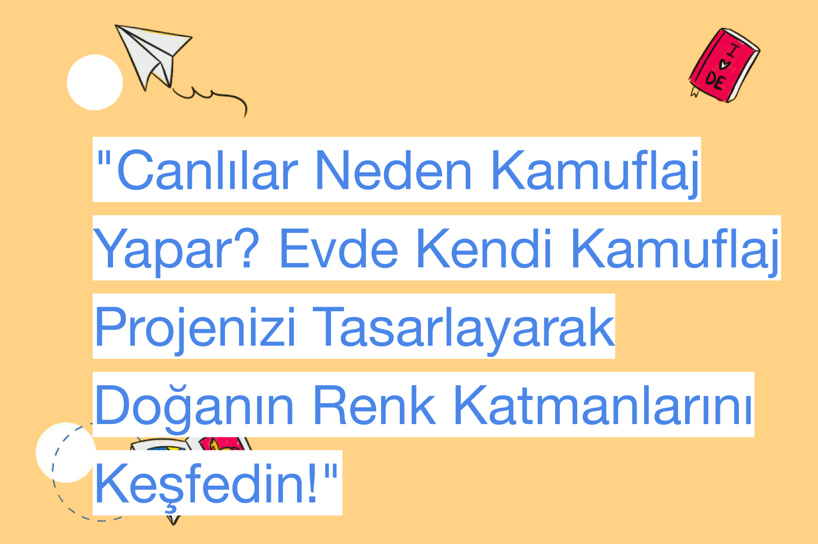 "Canlılar Neden Kamuflaj Yapar? Evde Kendi Kamuflaj Projenizi Tasarlayarak Doğanın Renk Katmanlarını Keşfedin!"