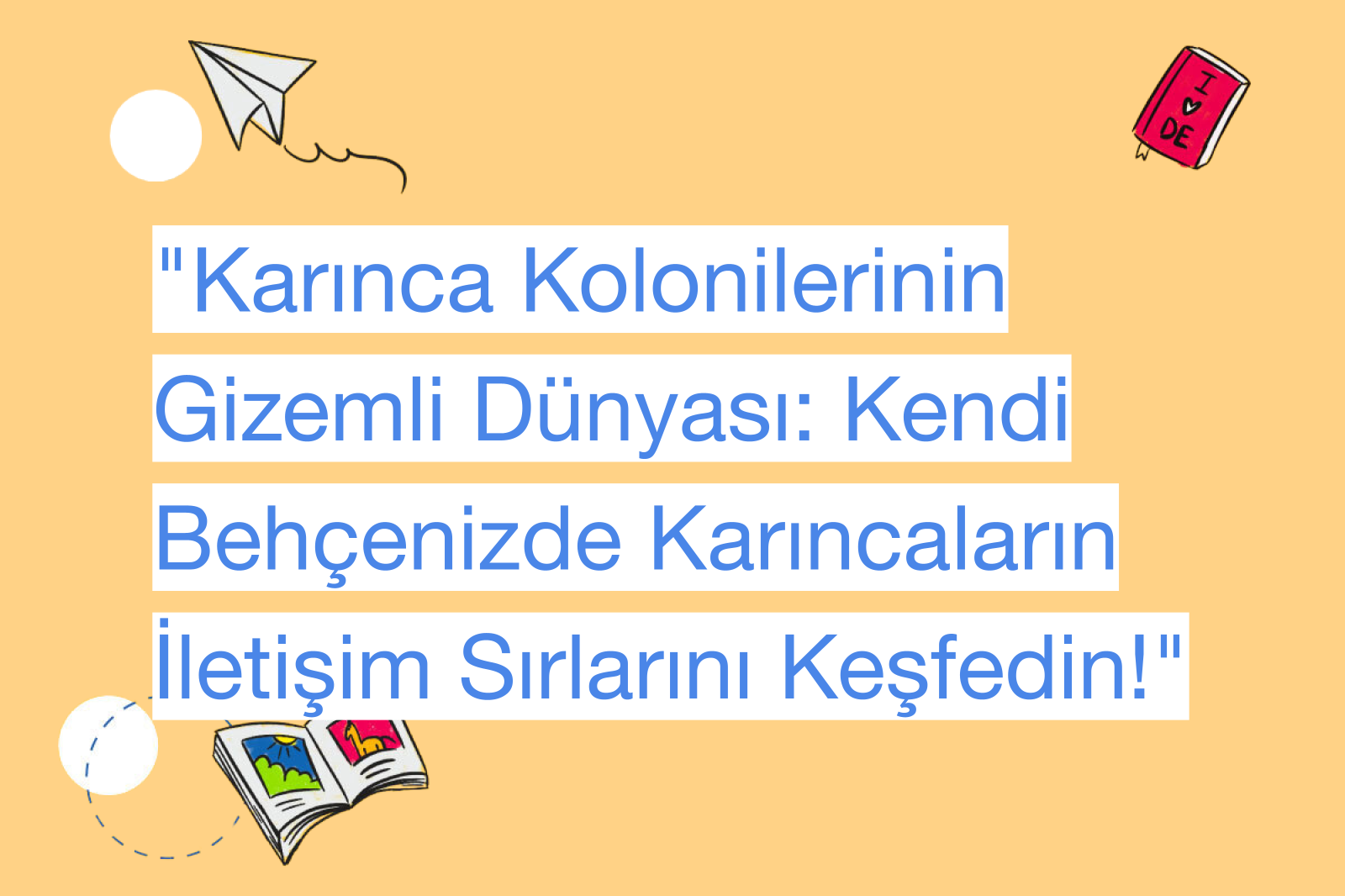 "Karınca Kolonilerinin Gizemli Dünyası: Kendi Behçenizde Karıncaların İletişim Sırlarını Keşfedin!"