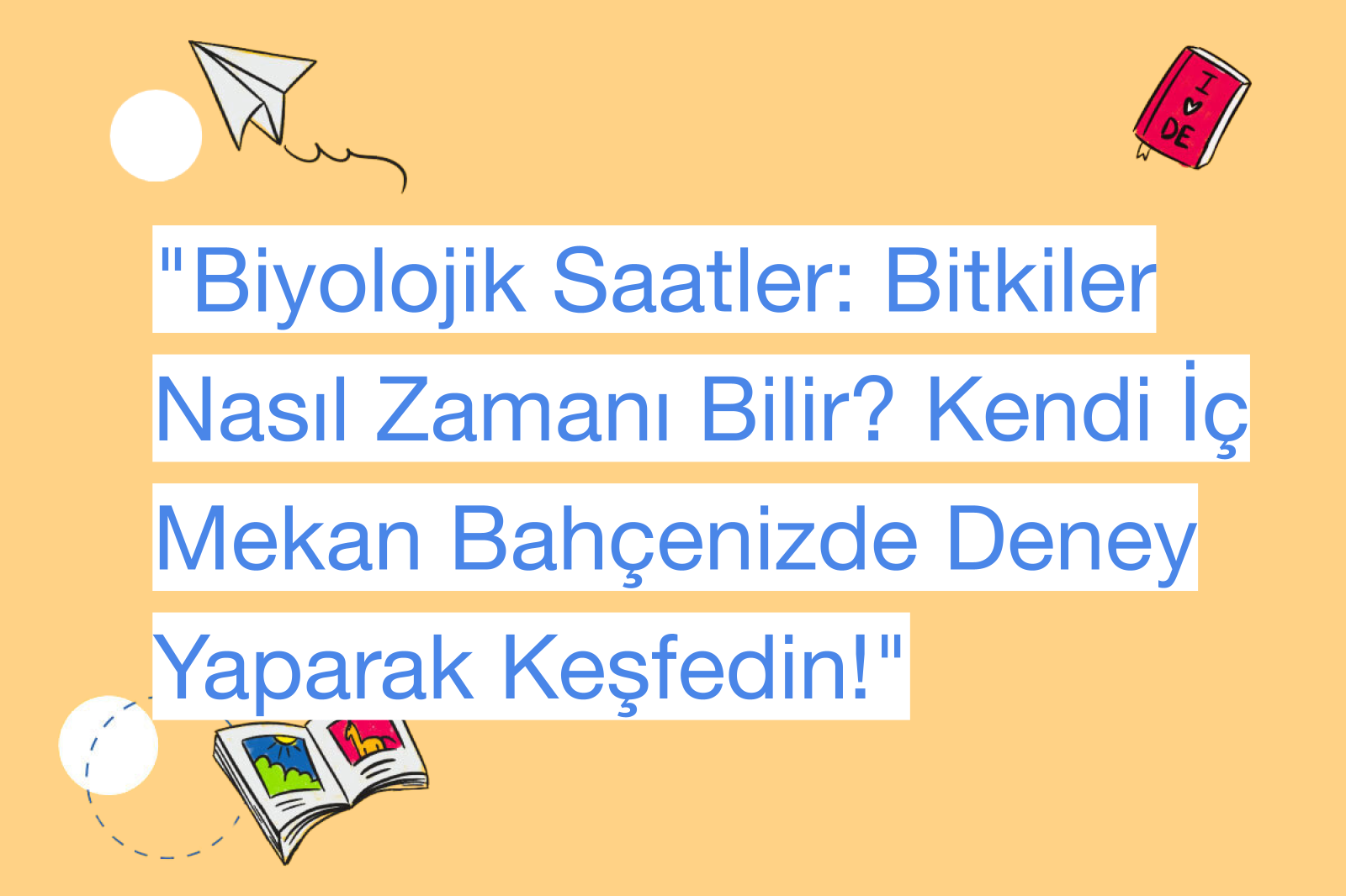 "Biyolojik Saatler: Bitkiler Nasıl Zamanı Bilir? Kendi İç Mekan Bahçenizde Deney Yaparak Keşfedin!"