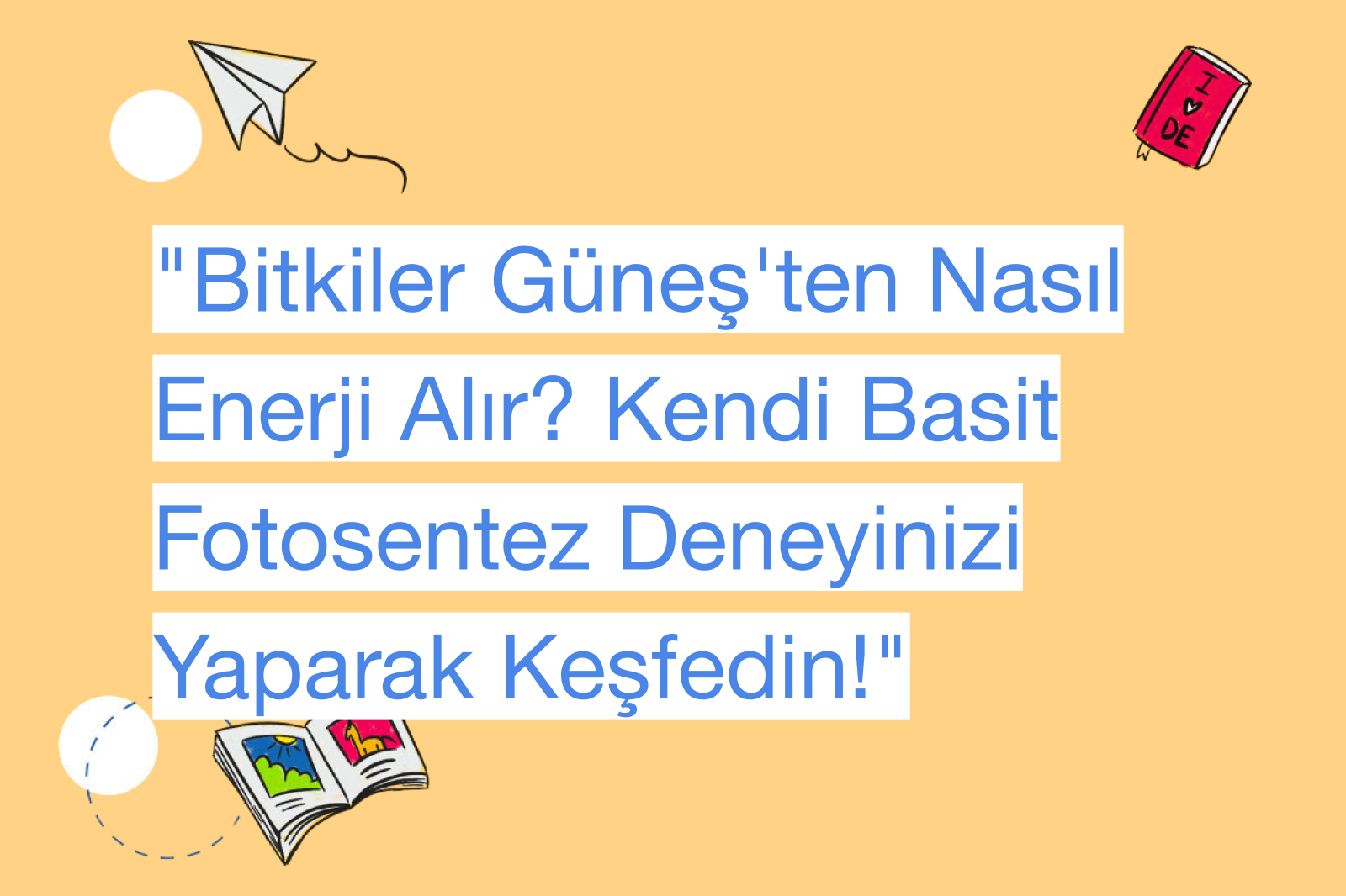 "Bitkiler Güneş'ten Nasıl Enerji Alır? Kendi Basit Fotosentez Deneyinizi Yaparak Keşfedin!"