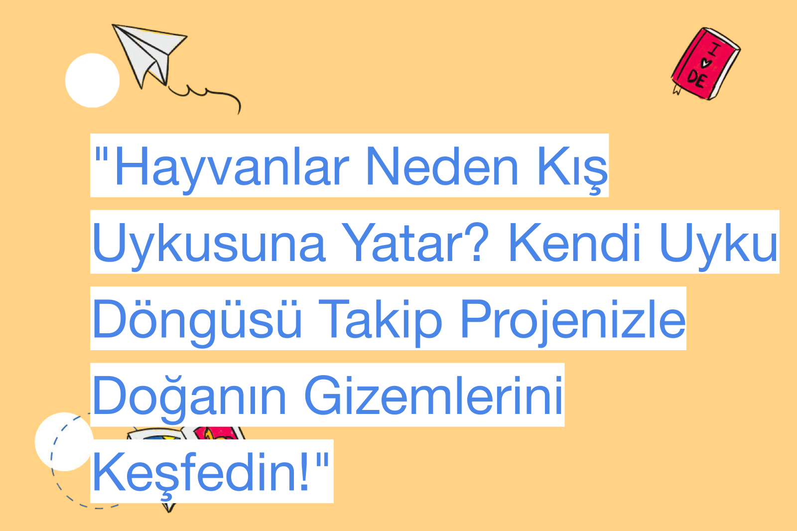 "Hayvanlar Neden Kış Uykusuna Yatar? Kendi Uyku Döngüsü Takip Projenizle Doğanın Gizemlerini Keşfedin!"