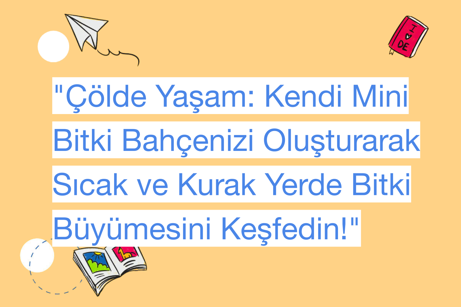 "Çölde Yaşam: Kendi Mini Bitki Bahçenizi Oluşturarak Sıcak ve Kurak Yerde Bitki Büyümesini Keşfedin!"
