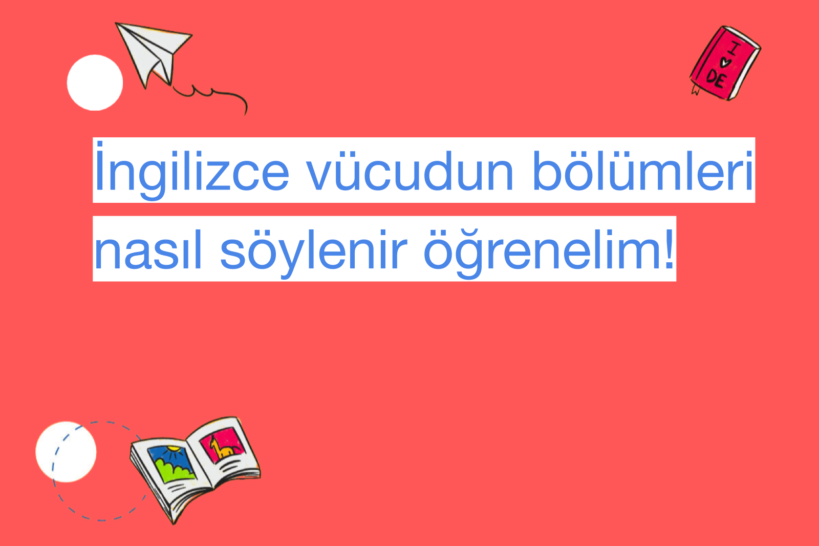 İngilizce vücudun bölümleri nasıl söylenir öğrenelim!