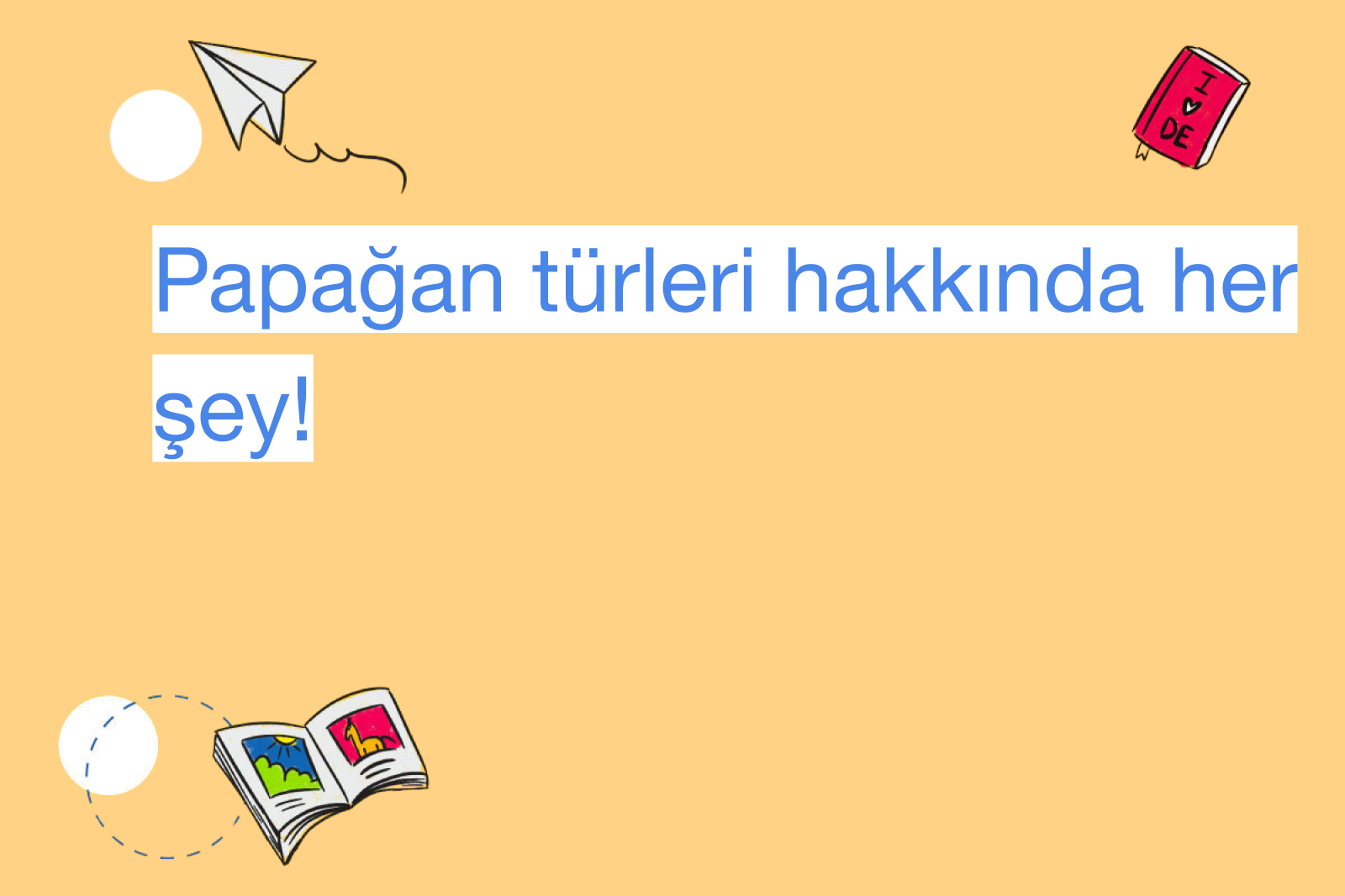 Papağan türleri hakkında her şey!