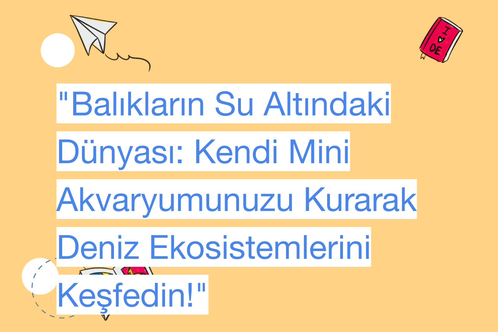 "Balıkların Su Altındaki Dünyası: Kendi Mini Akvaryumunuzu Kurarak Deniz Ekosistemlerini Keşfedin!"