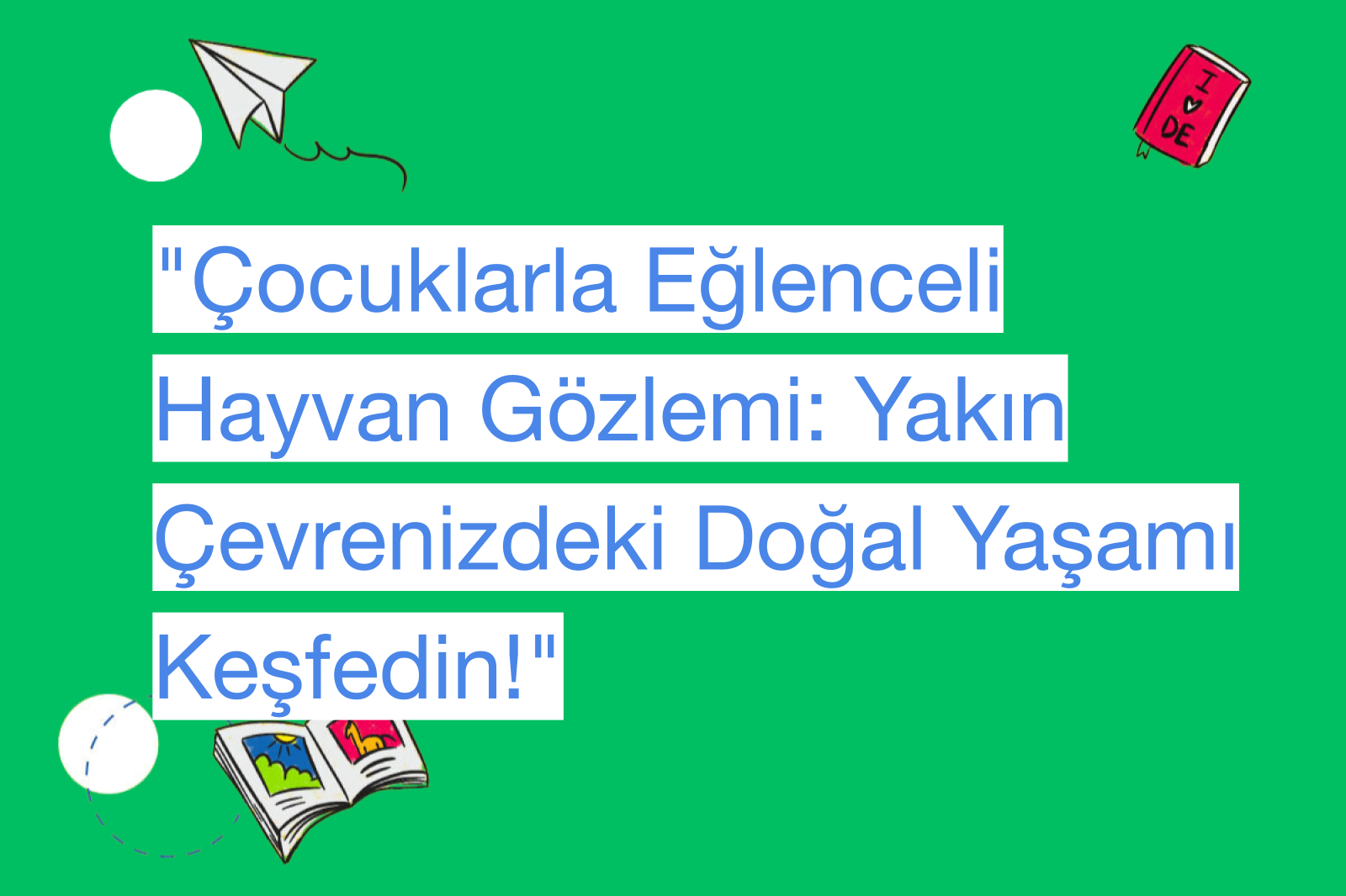 "Çocuklarla Eğlenceli Hayvan Gözlemi: Yakın Çevrenizdeki Doğal Yaşamı Keşfedin!"