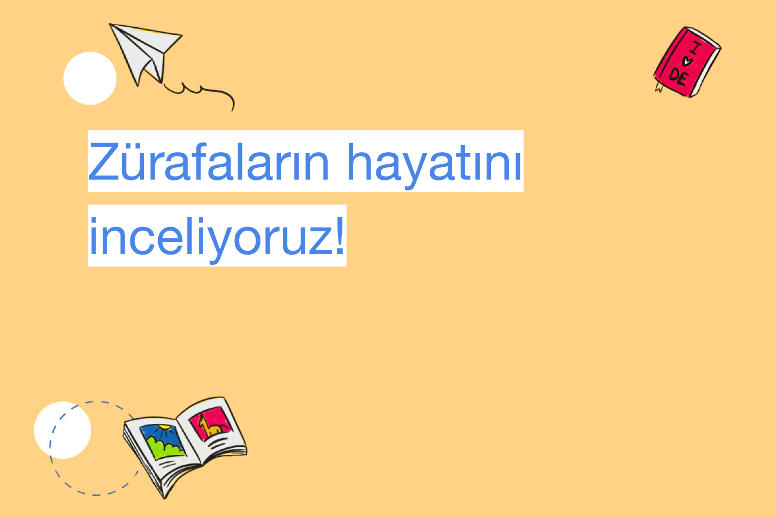 Zürafaların hayatını inceliyoruz!