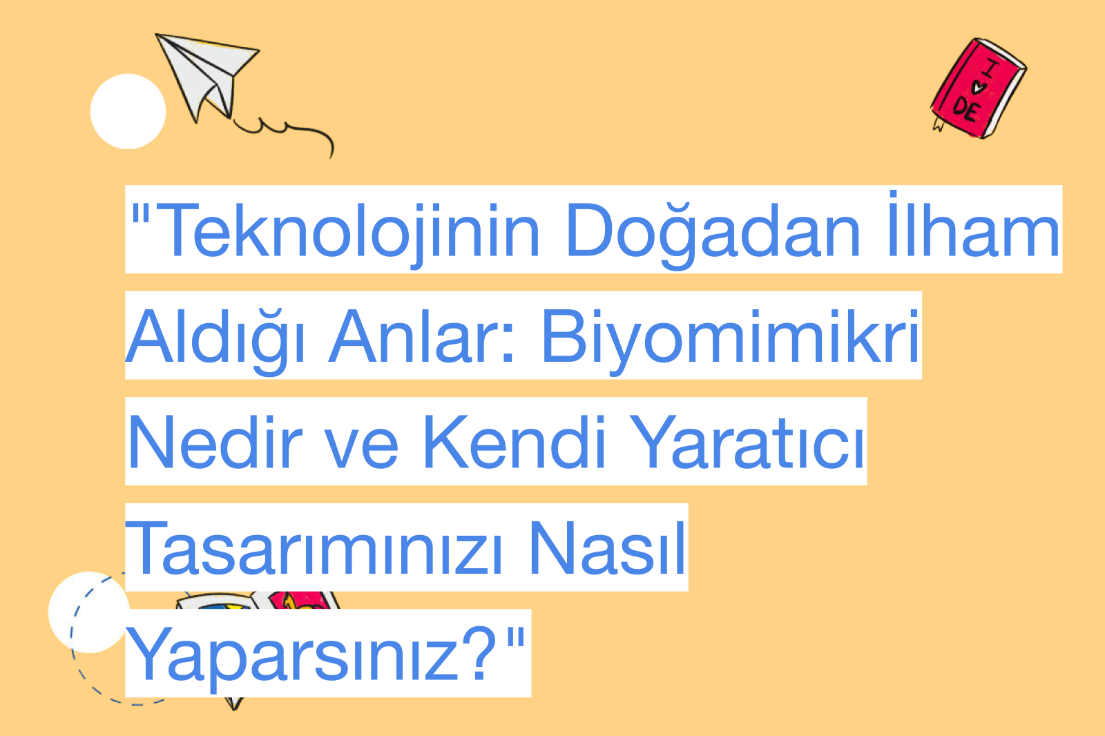 "Teknolojinin Doğadan İlham Aldığı Anlar: Biyomimikri Nedir ve Kendi Yaratıcı Tasarımınızı Nasıl Yaparsınız?"