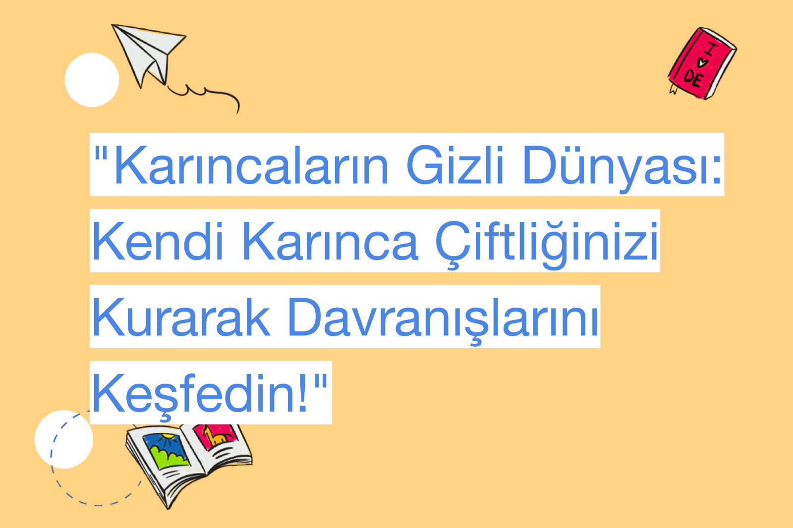 "Karıncaların Gizli Dünyası: Kendi Karınca Çiftliğinizi Kurarak Davranışlarını Keşfedin!"