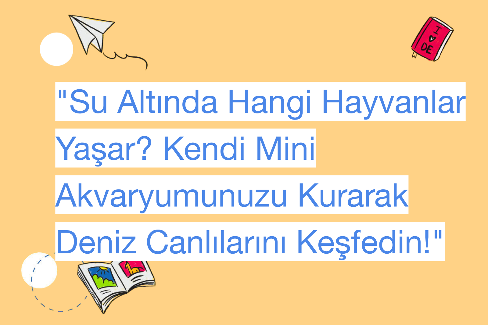"Su Altında Hangi Hayvanlar Yaşar? Kendi Mini Akvaryumunuzu Kurarak Deniz Canlılarını Keşfedin!"