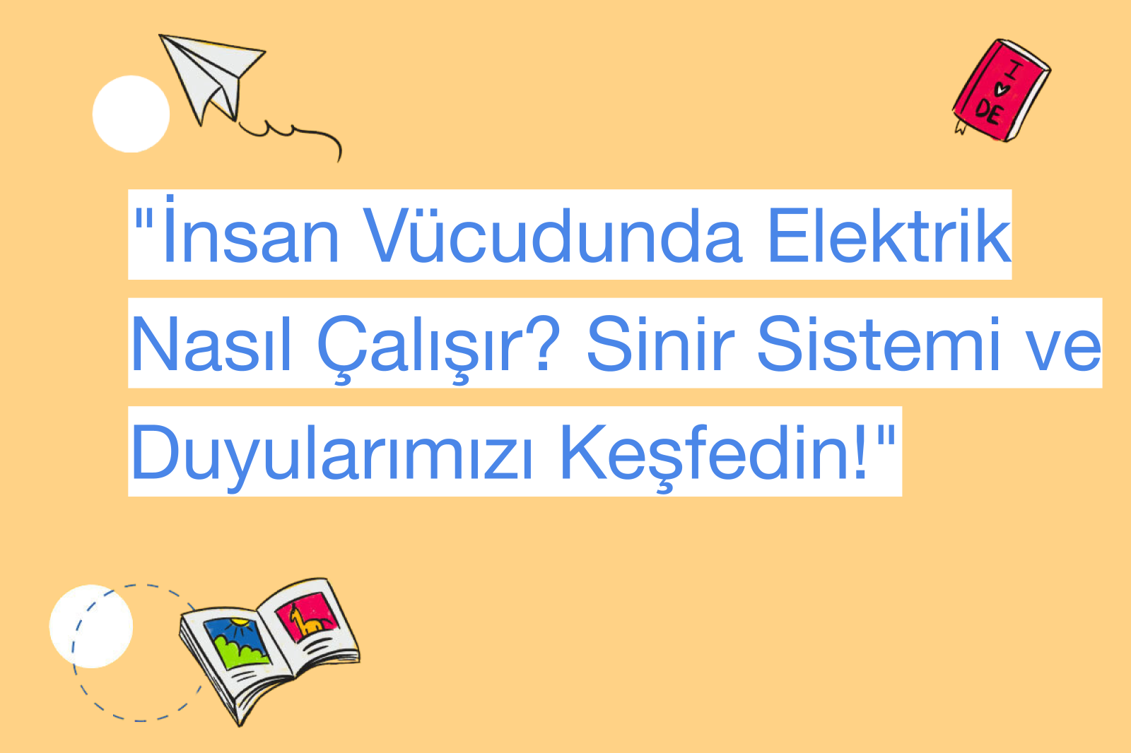 "İnsan Vücudunda Elektrik Nasıl Çalışır? Sinir Sistemi ve Duyularımızı Keşfedin!"