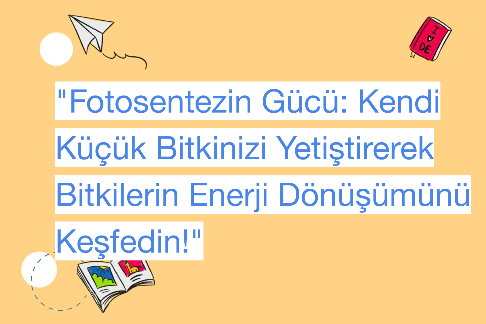 "Fotosentezin Gücü: Kendi Küçük Bitkinizi Yetiştirerek Bitkilerin Enerji Dönüşümünü Keşfedin!"