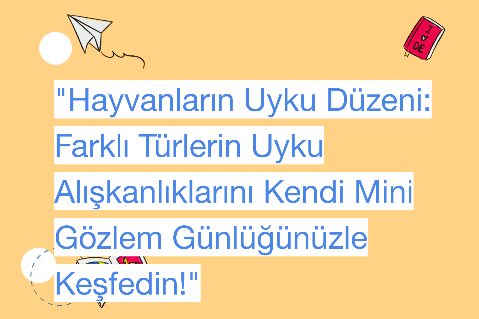 "Hayvanların Uyku Düzeni: Farklı Türlerin Uyku Alışkanlıklarını Kendi Mini Gözlem Günlüğünüzle Keşfedin!"