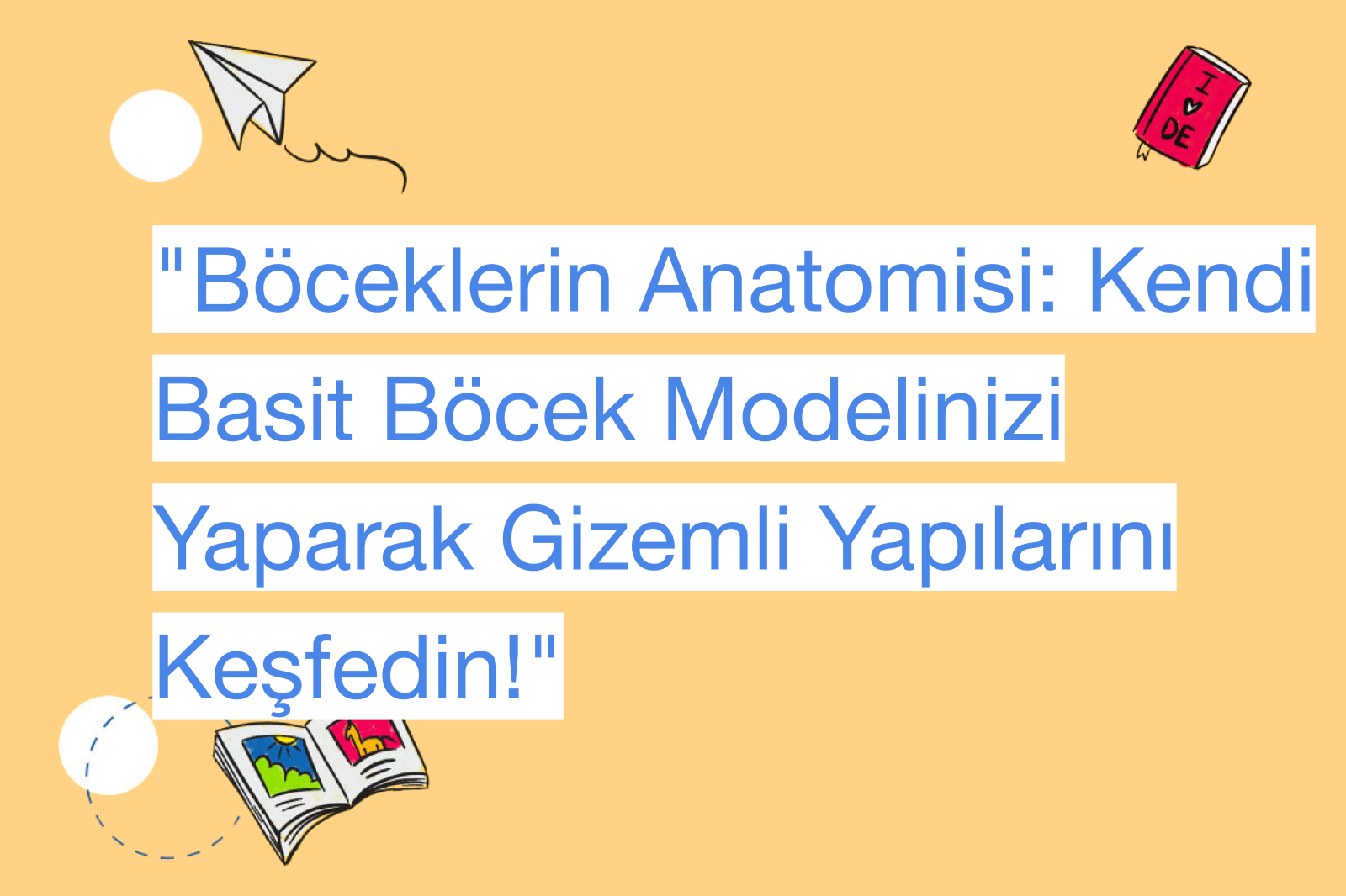 "Böceklerin Anatomisi: Kendi Basit Böcek Modelinizi Yaparak Gizemli Yapılarını Keşfedin!"