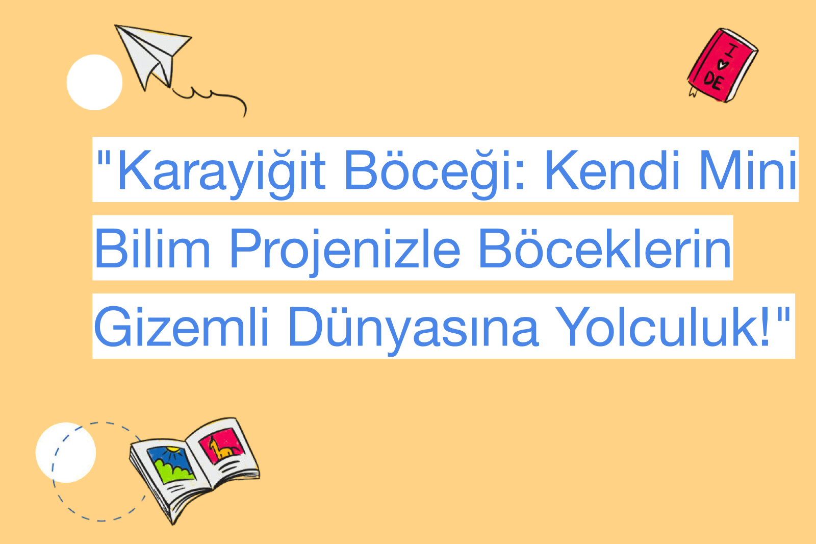 "Karayiğit Böceği: Kendi Mini Bilim Projenizle Böceklerin Gizemli Dünyasına Yolculuk!"